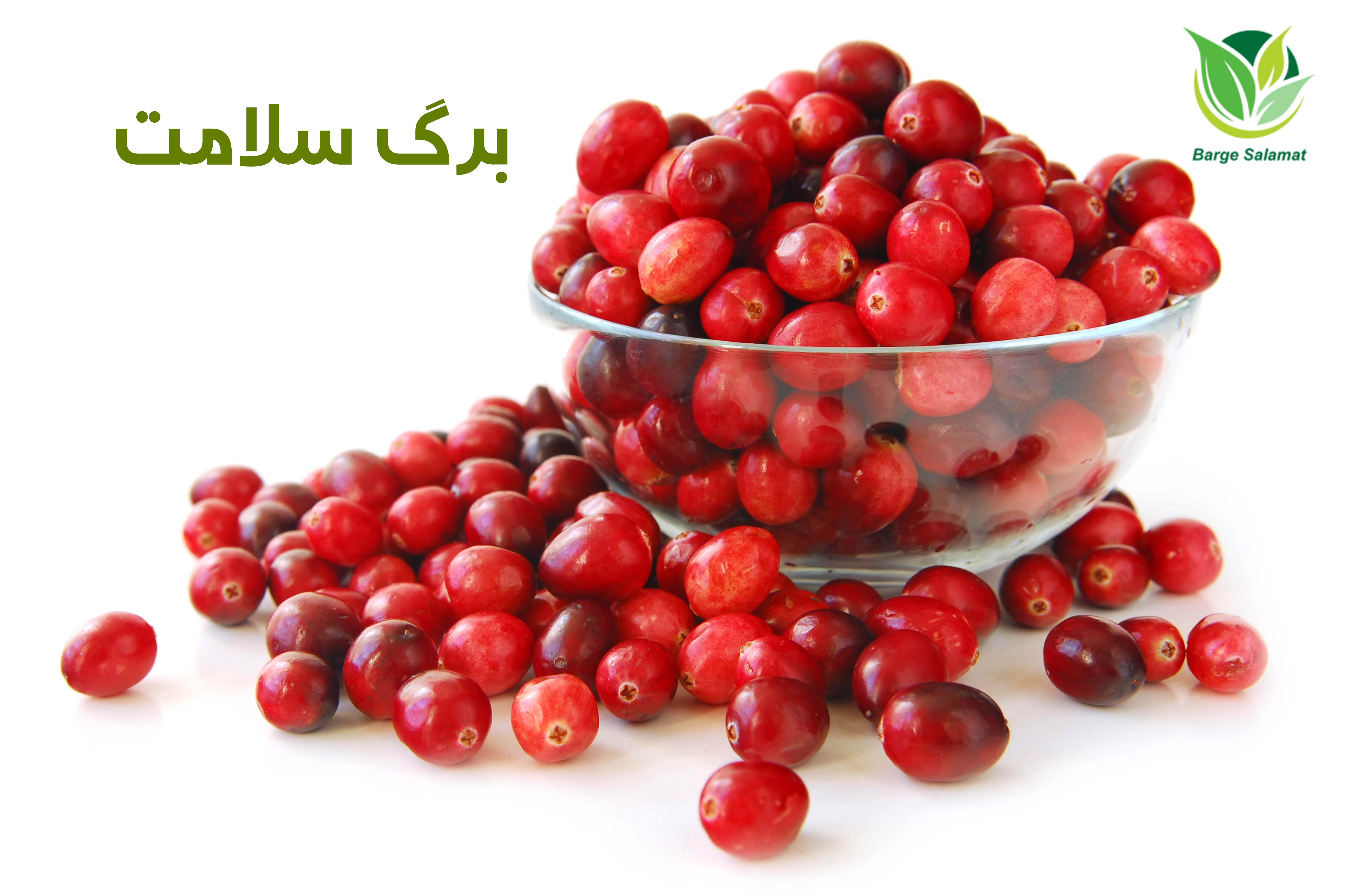 خواص زغال اخته